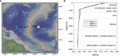 Biogeochemical cycling of chromium and chromium isotopes in the sub-tropical North Atlantic Ocean